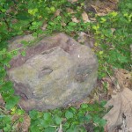 Rock from Pappy's Barnyard