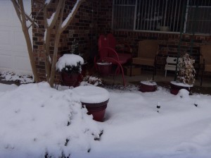 Contrast my summer container garden with my winter container garden