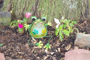 Frog Guarding My Impatiens