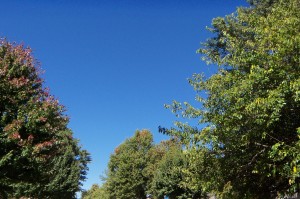 October's Bright Blue Weather