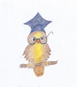 Owl Graduate