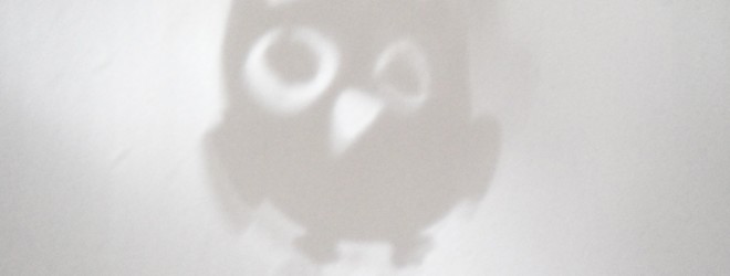 Owl Shadow